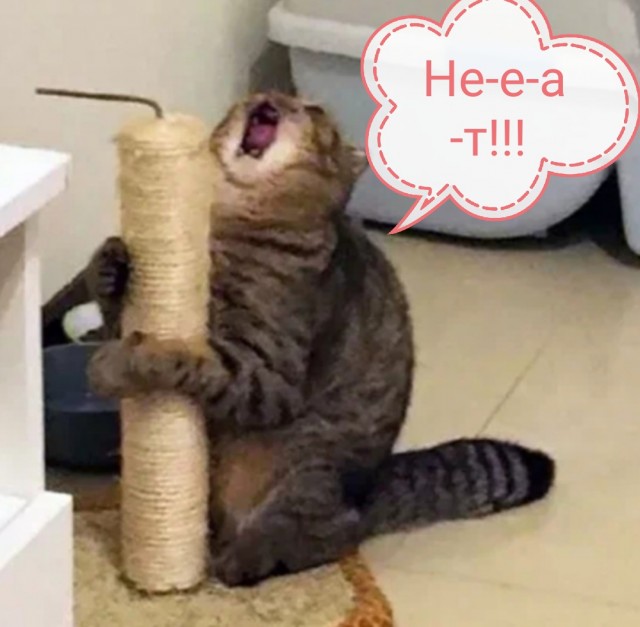Этого.Не.Можед.Быдь