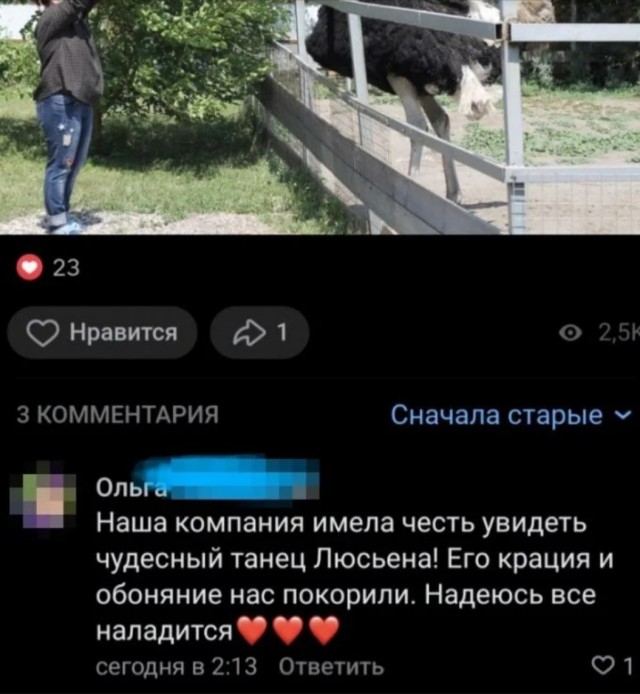 Забавные комментарии из социальных сетей (09.10.23)