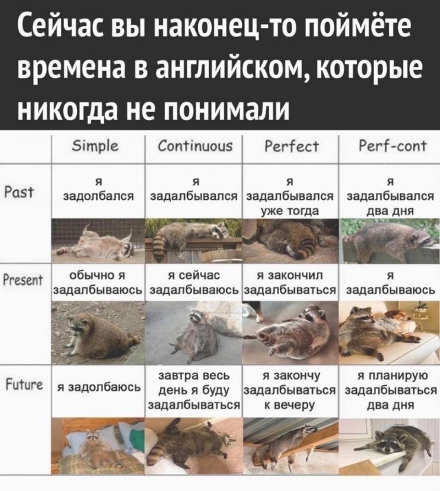 Бояны 10-ти летней выдержки