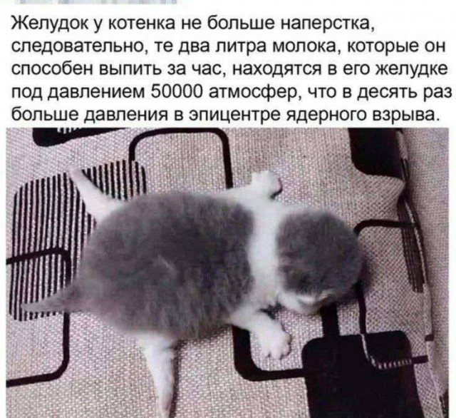 Разное