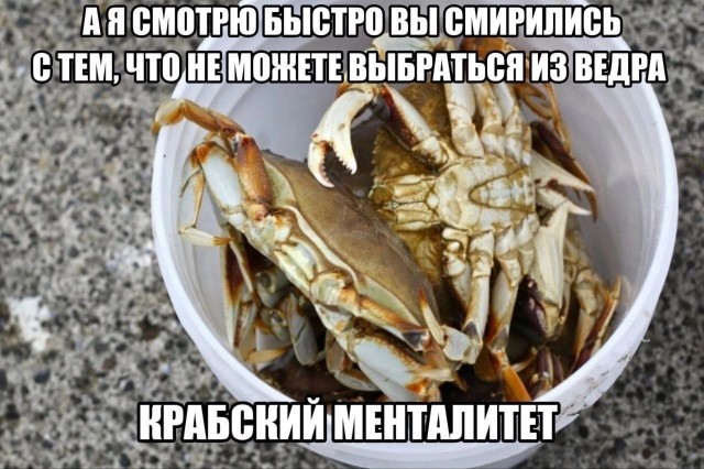 Тлидцать тли от 12 февлаля