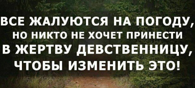 Всего понемногу. От 12.04.2024