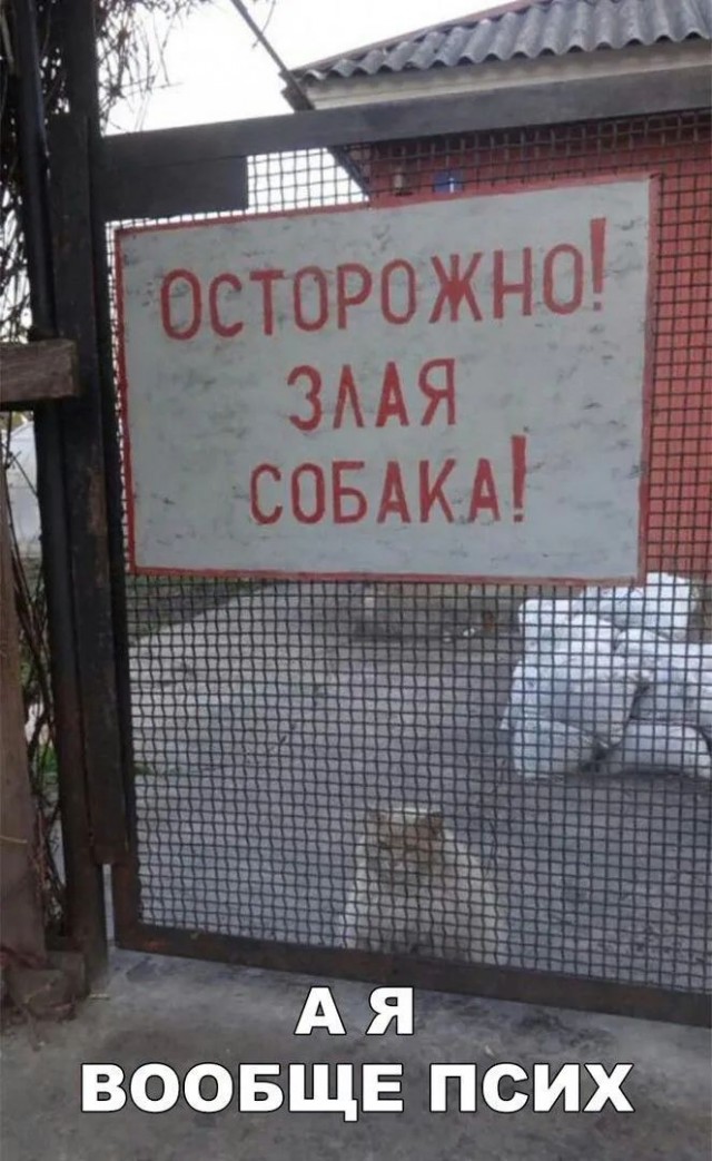Завалялось тут случайно немного забавных картинок