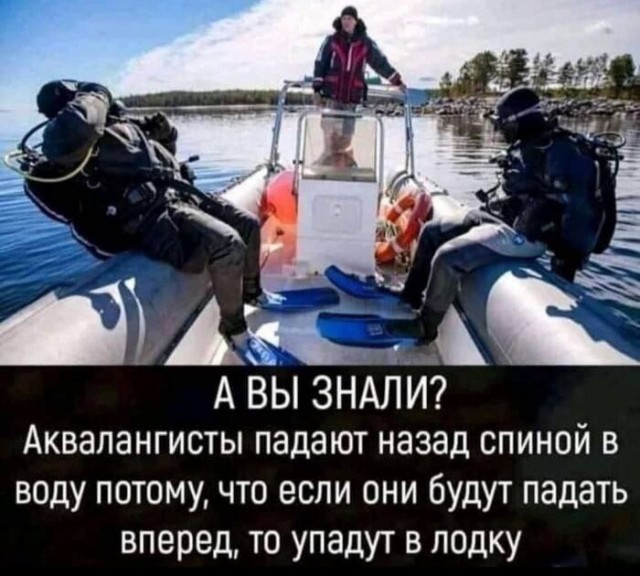 Никакие картинки