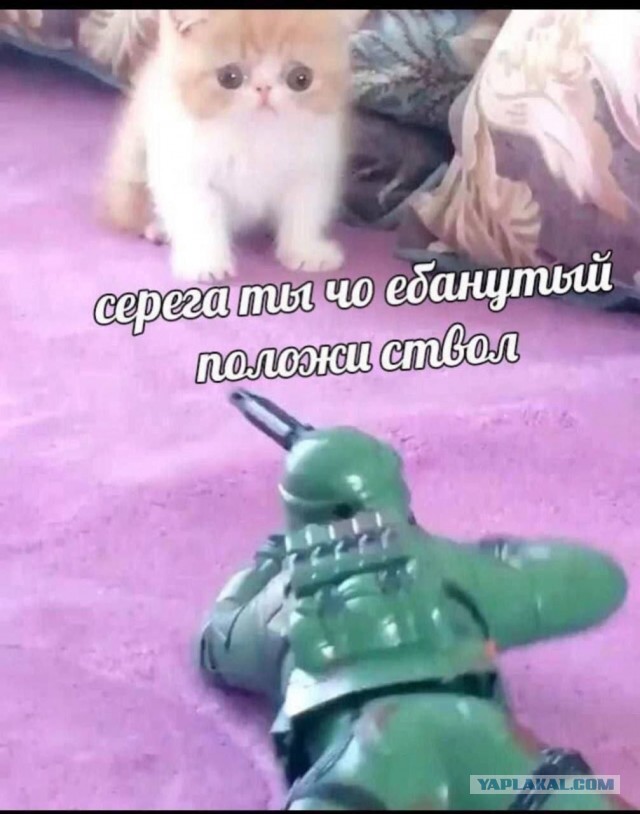 Всего понемногу. От 30.09.24