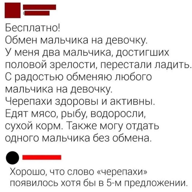 Так себе картинки 01.10.24