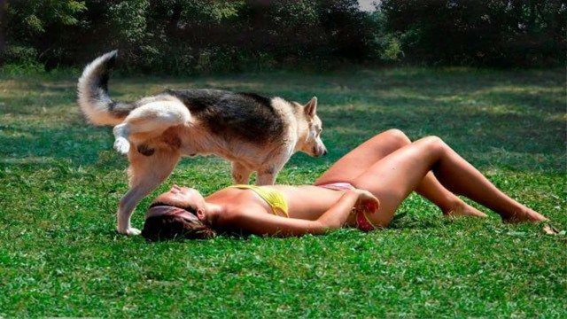 Прикольные и просто красивые картинки