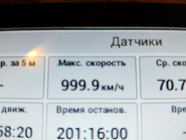 Веселая ферма: GPS трекеры для собак