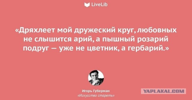 Странная у вас мода, одеваешься как шлюха
