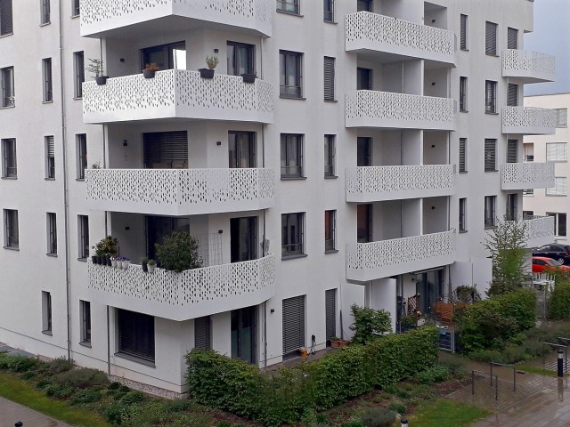 Клумба во дворе 2025 зима