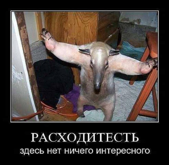 На случай важных переговоров