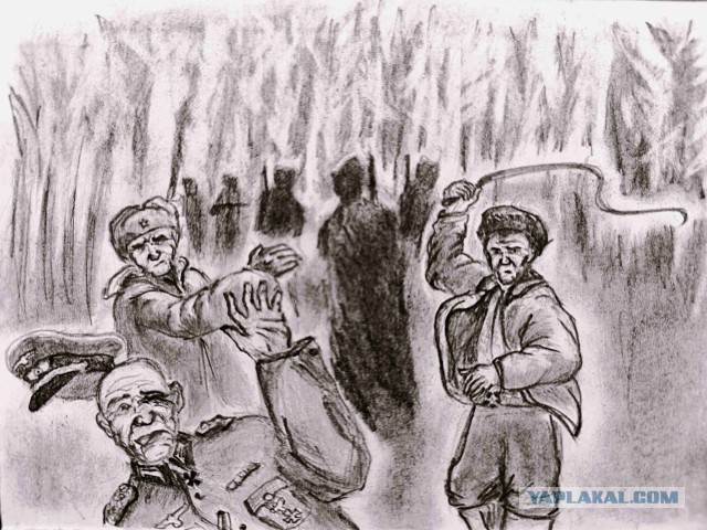 Партизанские шуты