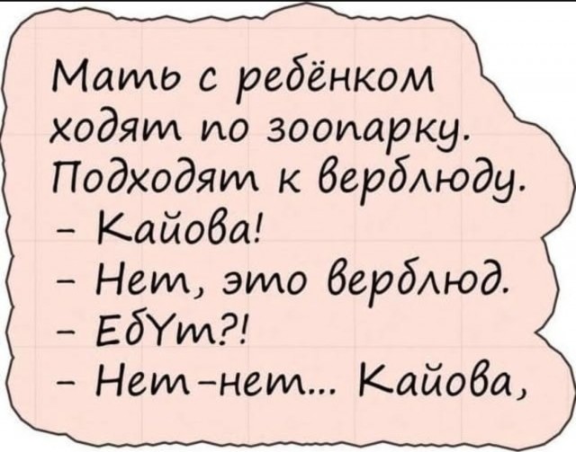 Так себе картинки 13.06.25