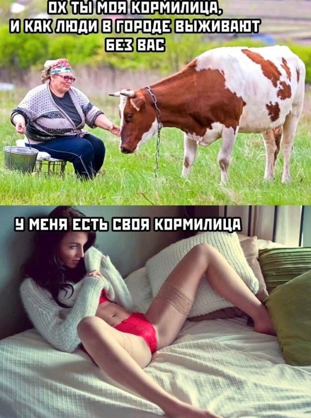 Картинки для деградации 29 (разной степени свежести)