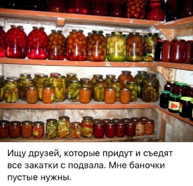 Так себе картинки 29.08.25