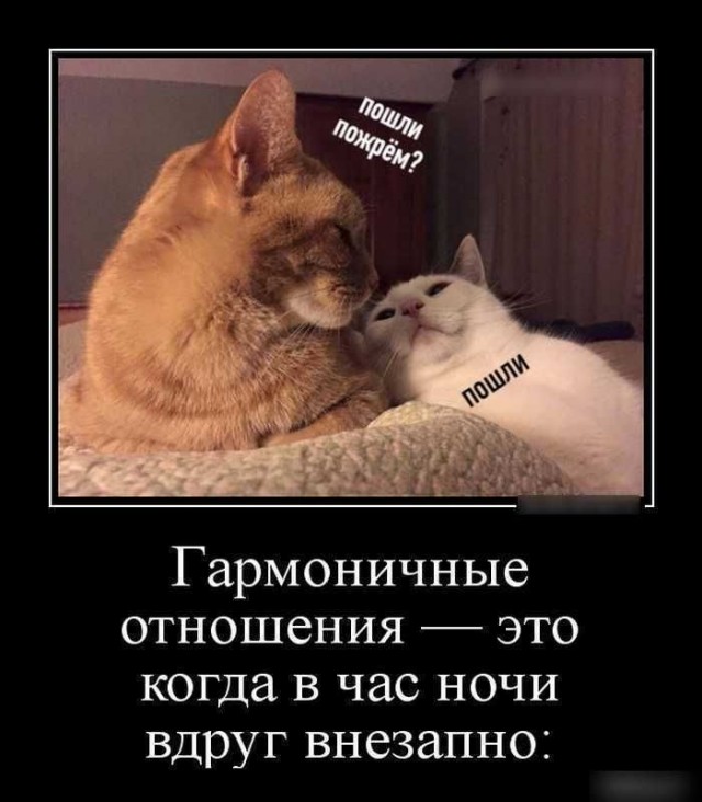 Кому в настоящее время более необходимы отношения — мужчинам или женщинам?