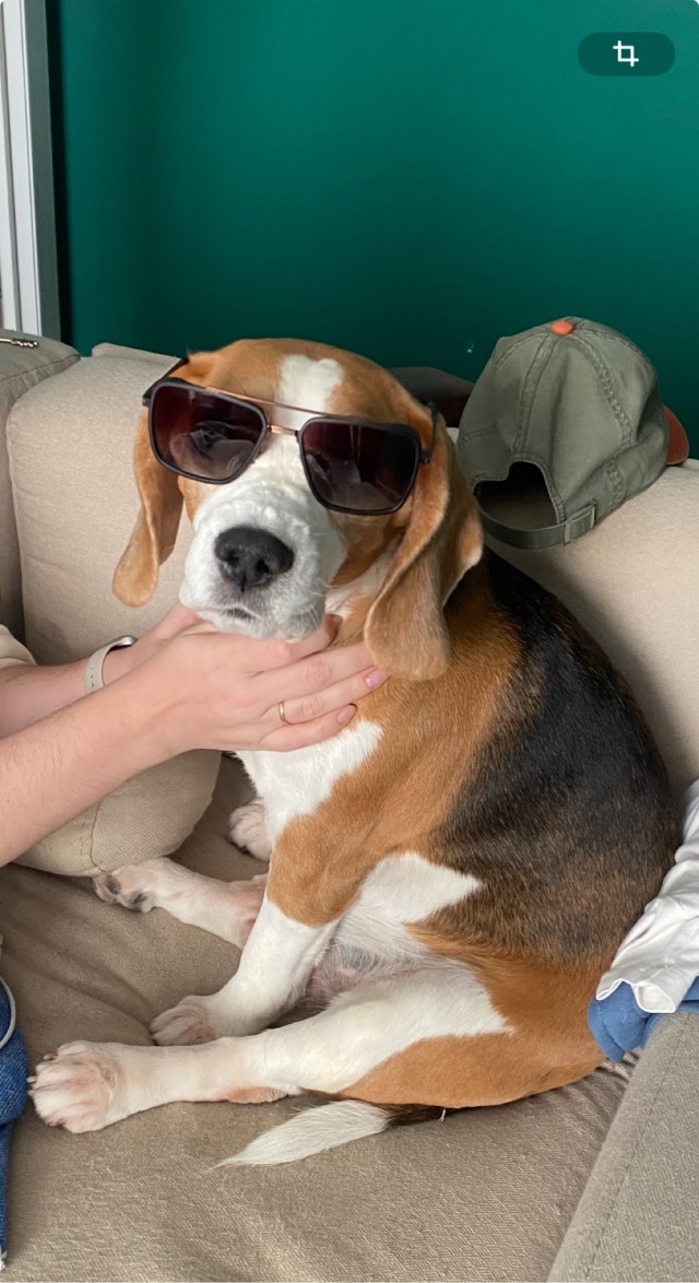 Новый член семьи