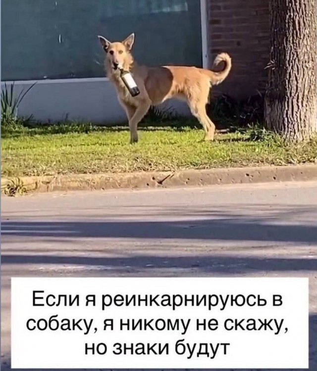 Картинки 15 октября