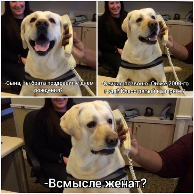 Веселые картинки в понедельник (08.01)