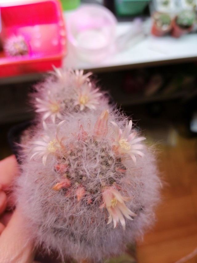 Поздравляю всех причастных с праздником!