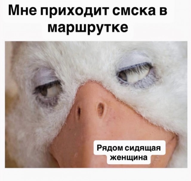 Субботние картинки