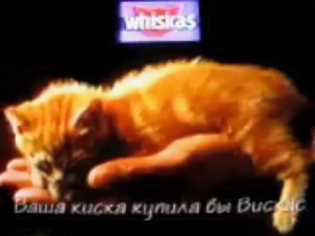 Эстетика поедания