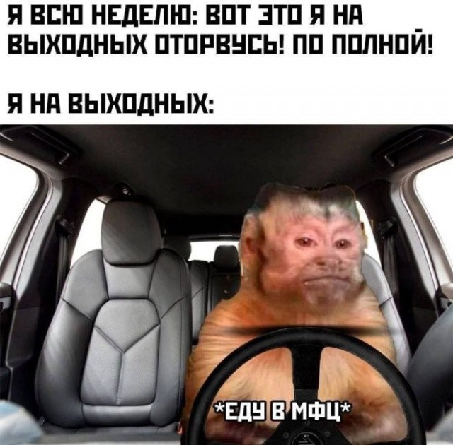 Картиночки, баянчики 11 мая
