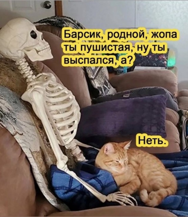 Среды картинки