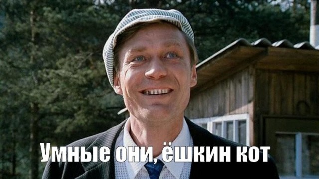 Пингвины умные, они знают как выживать.
