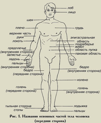 По стопам гламурного дистрофика