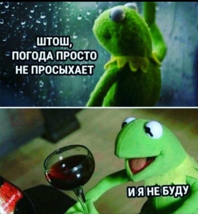 Только полезные покупки у китайцев