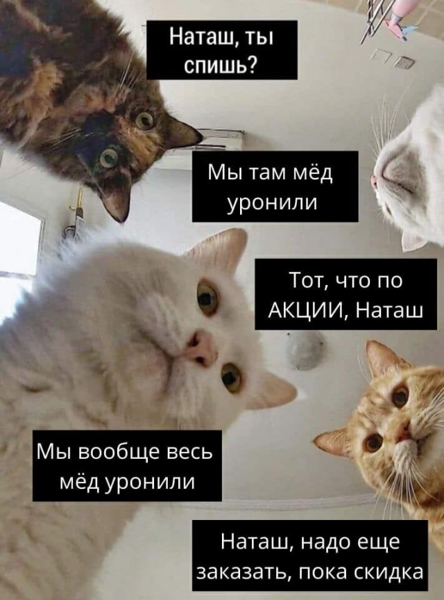 Про мёд