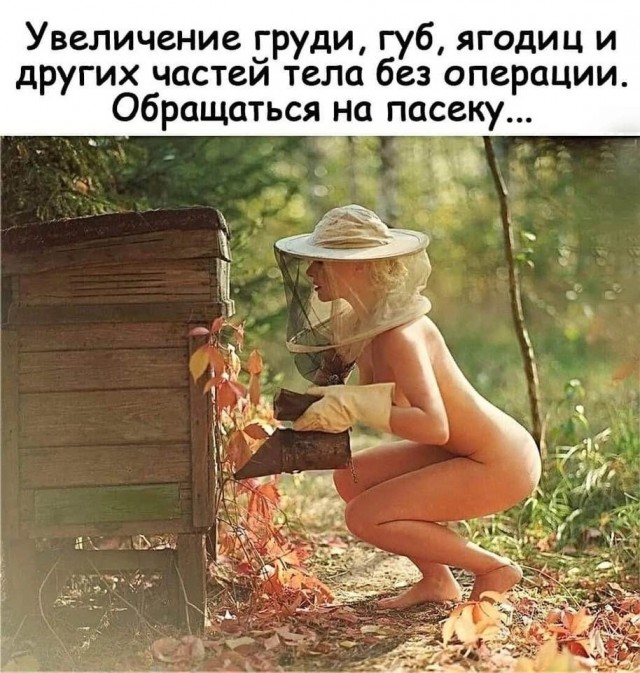 Так себе картинки 29.09.26