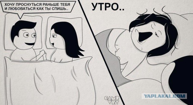 Просыпаешься такой утром...