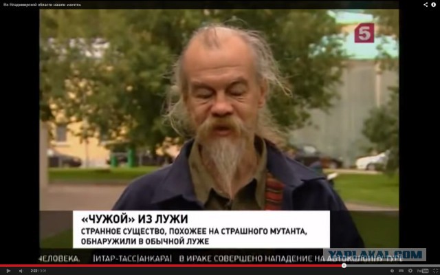 Что это?