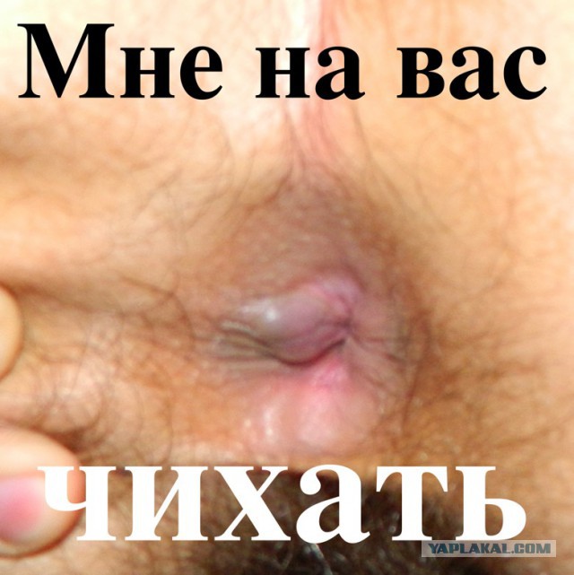 Популярные мемы на ЯПе