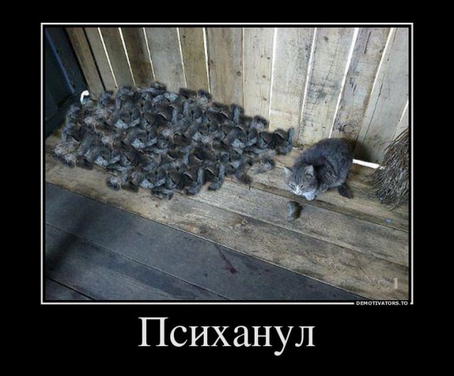 Весёлые картинки