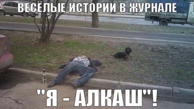 Хорошо погуляли!
