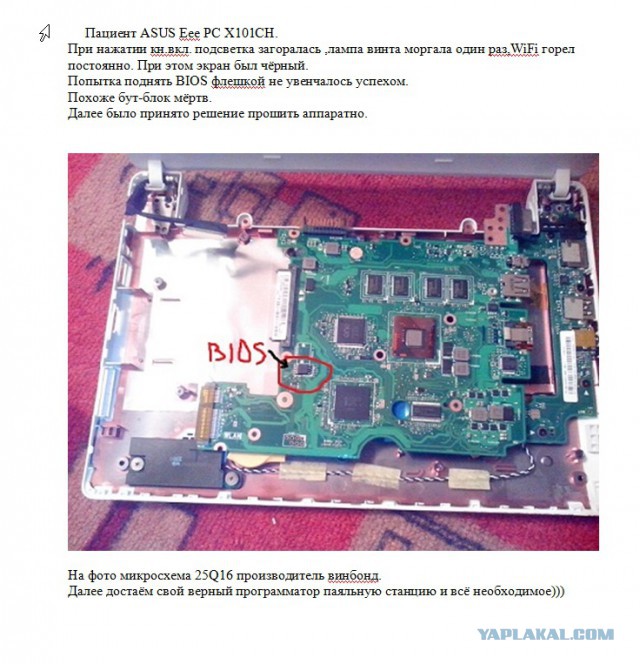 Люблю клинически мёртвых
