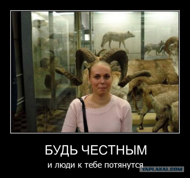 Прикольные картинки