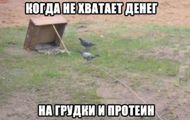 Как мне показалось, очень интересные ловушки