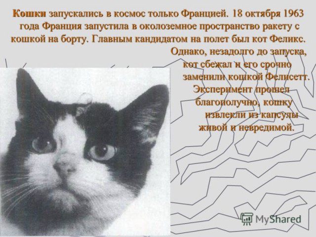 Редкие исторические кадры