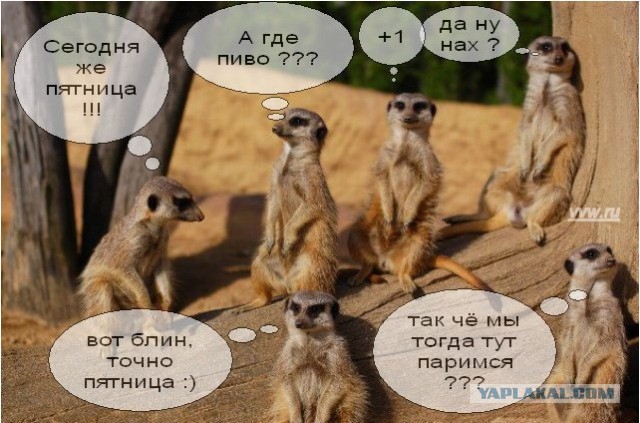 Ура... Пятница!