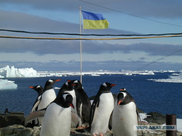 Украина доигралась до полного эмбарго