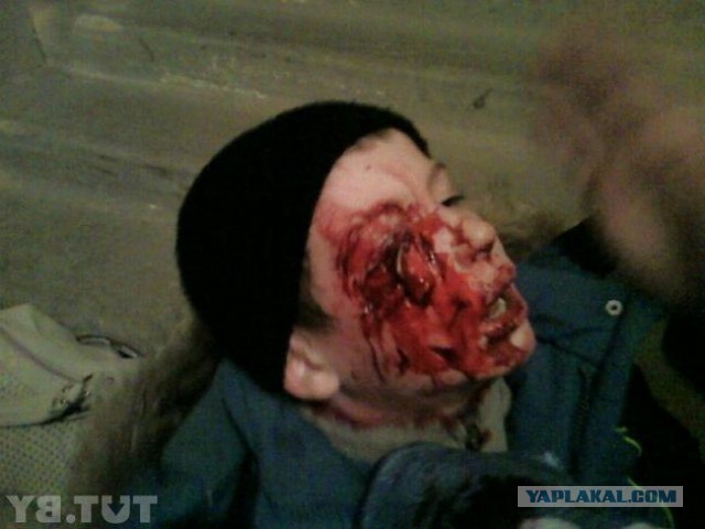 Этот огромный хаски старался быть невозмутимым