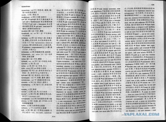 Русско-японский словарь ненормативной лексики