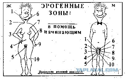 20 фактов о сексе