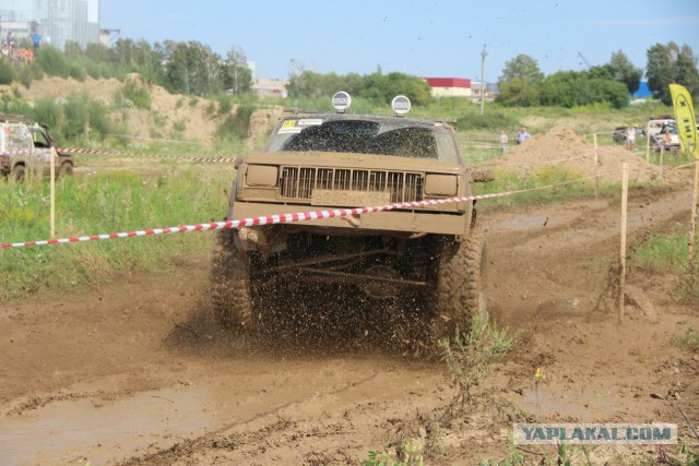 На каких машинах ездят сами японцы