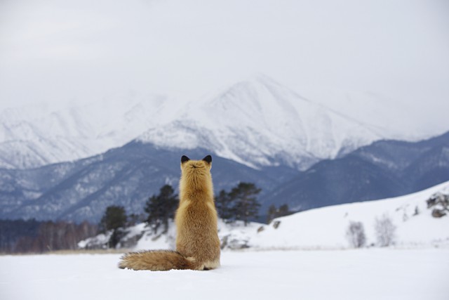 Подборка картинок
