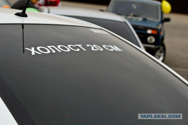 Что обычно водители пишут на своих автомобилях?